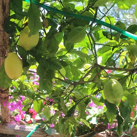 Nocleg ze śniadaniem Casa Hermosa