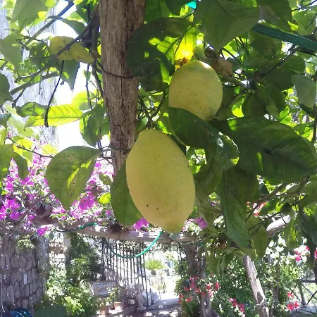 Casa Hermosa Nocleg ze śniadaniem