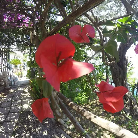 Casa Hermosa Nocleg ze śniadaniem Amalfi
