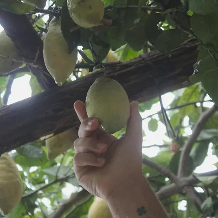 Casa Hermosa 2* Amalfi