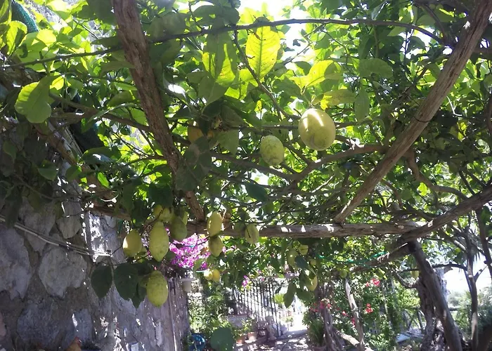 Casa Hermosa 阿马尔菲