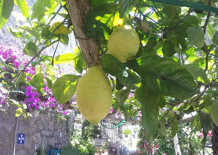 Casa Hermosa 阿马尔菲