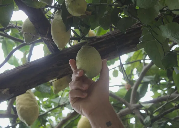 Casa Hermosa 2* 阿马尔菲