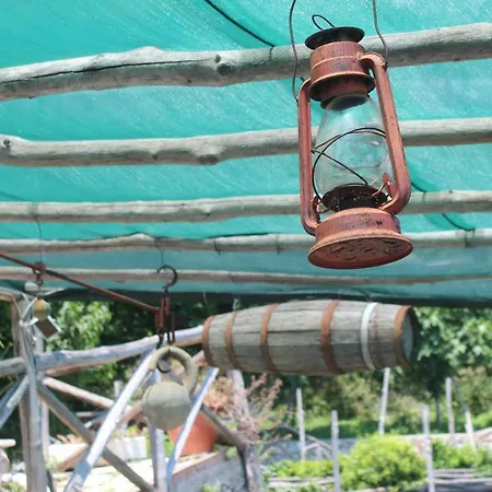 Готель типу 