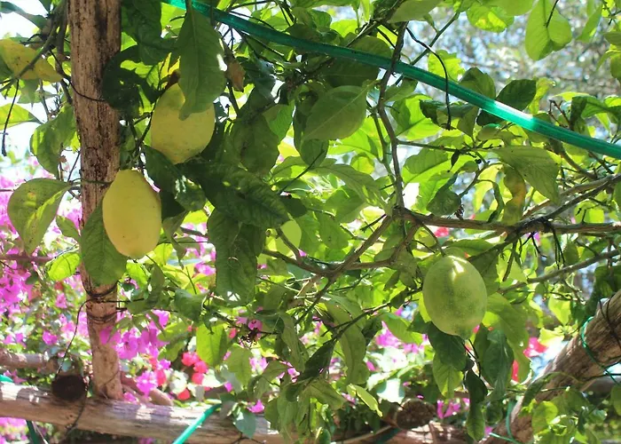 ベッド・アンド・ブレックファスト Casa Hermosa