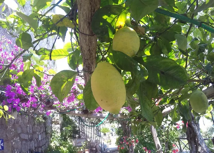 Casa Hermosa ベッド・アンド・ブレックファスト