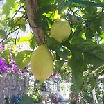 Casa Hermosa Amalfi