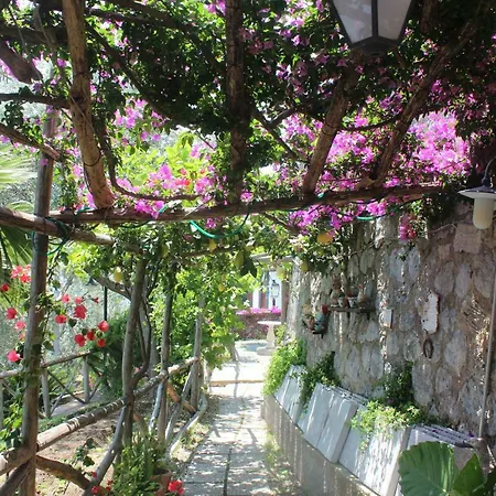 Casa Hermosa Bed & Breakfast 2*