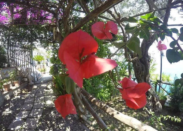 Casa Hermosa Bed & Breakfast Amalfi